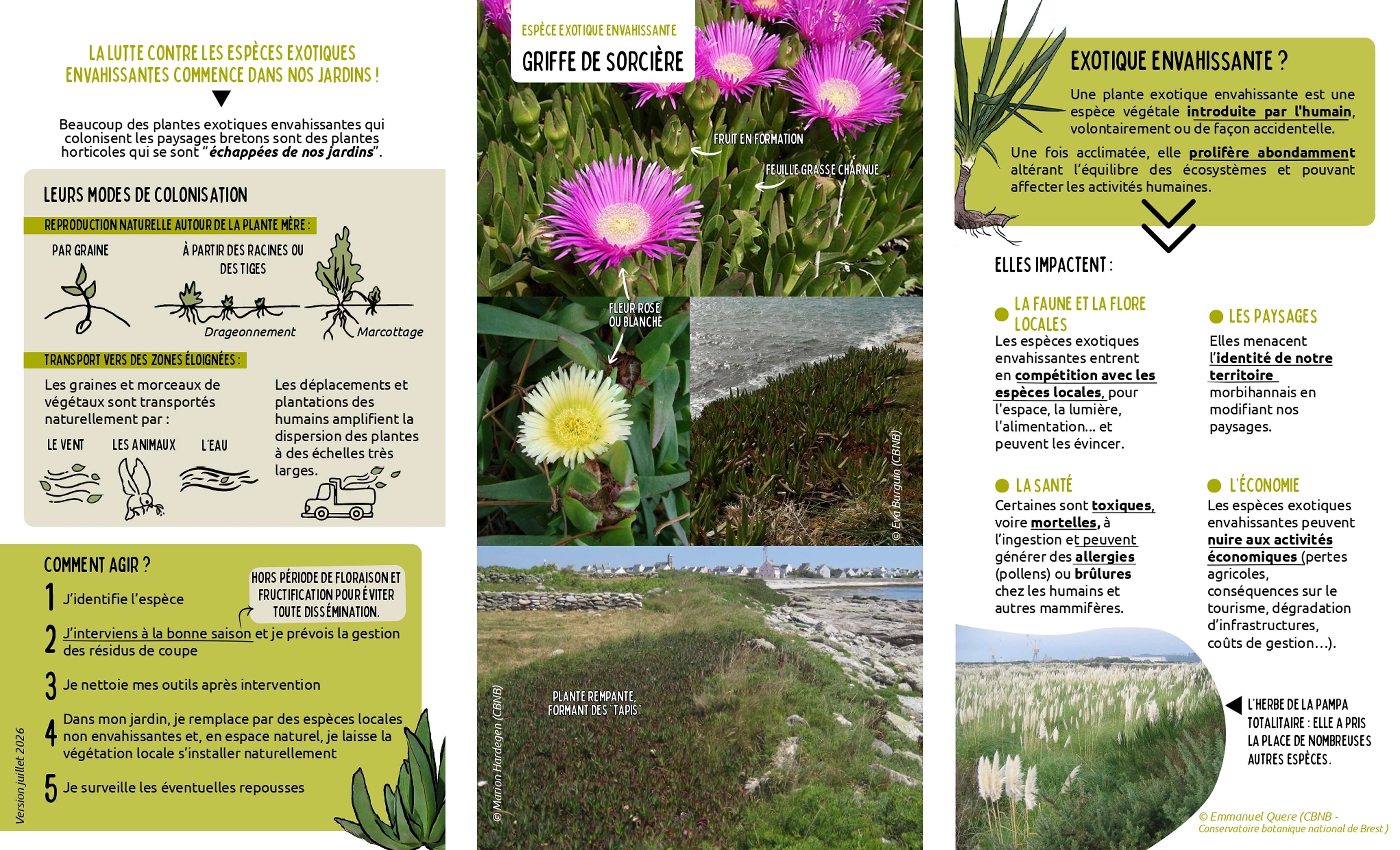guide Espèces Exotiques Envahissantes